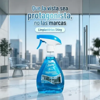 Limpiavidrios 500 ml.